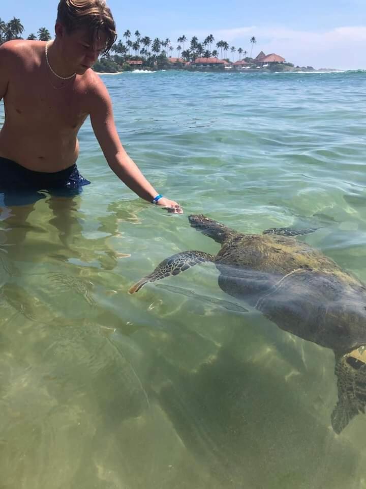 Hotel Jk House Turtle Point Dikwella Sur Exterior foto